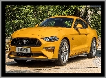 2018, Żółty, Ford Mustang GT