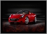 Ferrari California, Maska