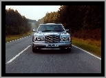 Drzewa, Bentley Arnage, Ulica