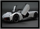 Drzwi, Marussia B1, Unoszone