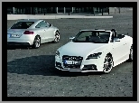 Audi TT, Dwie, Nadwozia, Wersje