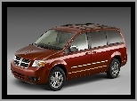 Lusterka, Dodge Caravan, Chromowane