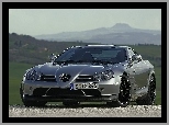 Niemcy, Mercedes Benz SLR